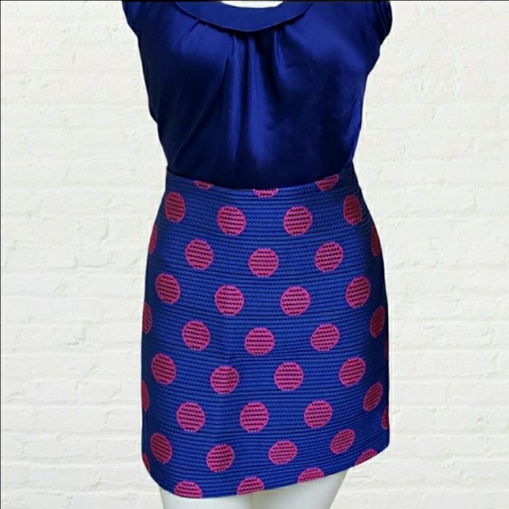 Marc's blue pink embroidery polka dots mini skirt size 4